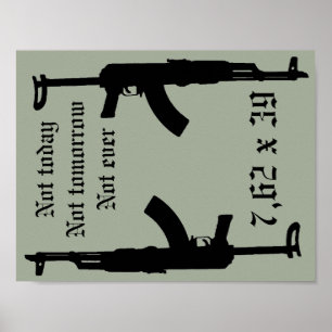 2nd amendment poster
