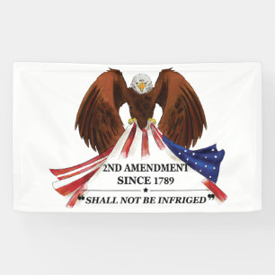 2nd Amendment  Throw Pillow Banner