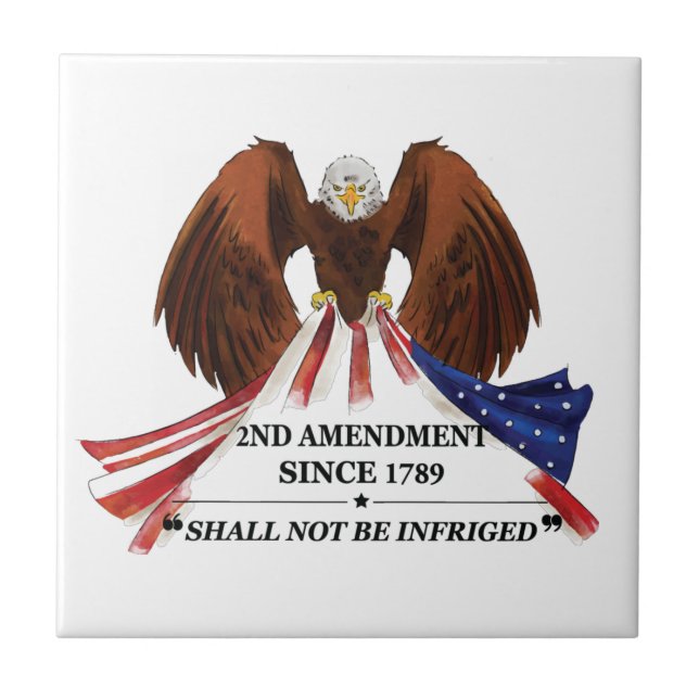 2nd Amendment  Throw Pillow Ceramic Tile (Front)