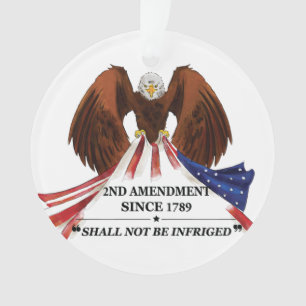 2nd Amendment Throw Pillow Ornament