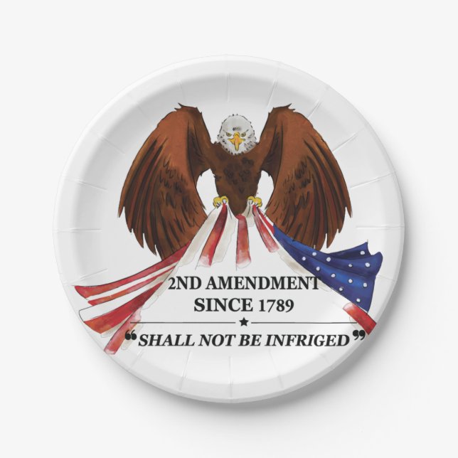 2nd Amendment  Throw Pillow Paper Plate (Front)