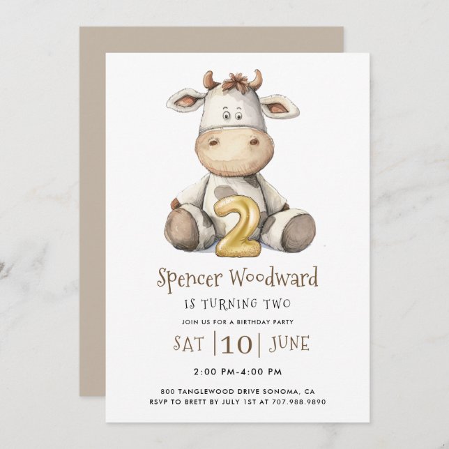 2nd birthday Party Boy Invitation (Front/Back)