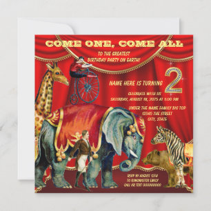 2nd Birthday Party Invitation