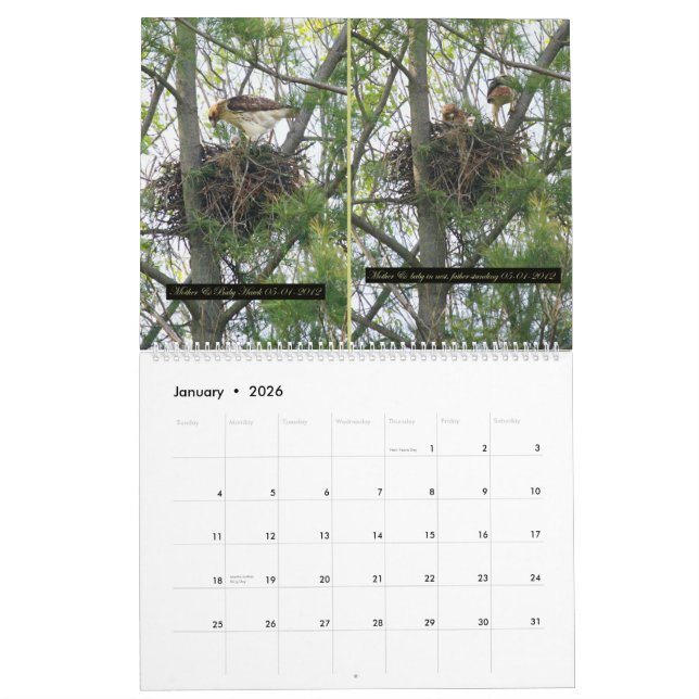 2yr. calendar/hawk development/ Robert E. Weiss Calendar (Jan 2026)