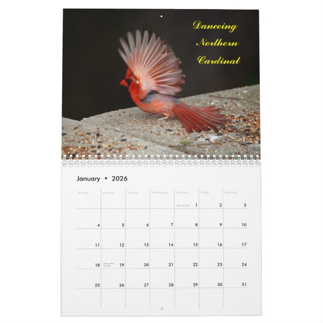 2yr.Calender deplicting birds starting Jan.2013 Calendar (Jan 2026)