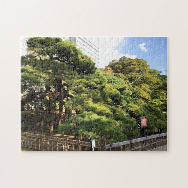 300 Year Old Pine Trees Jigsaw Puzzle (Horizontal)