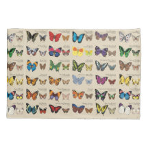 30 Butterfly Species from Around the World (Light)