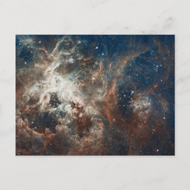 30 Doradus Nebula and Star Clusters Postcard (Front)