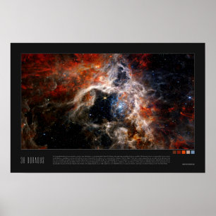 30 Doradus (Tarantula Nebula, NGC 2070) Poster