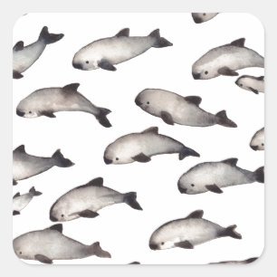 30 vaquita porpoise dolphin square sticker