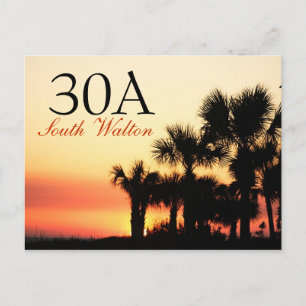 30A - South Walton Palm Tree Sunset Postcard