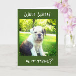 **30th BIRTHDAY** BULLDOG WISHES FOR YOU! Card<br><div class="desc">THIS BULLDOG IS SO CUTE AND HE JUST CAN'T BELIEVE HE OR SHE IS 30 ON THEIR BIRTHDAY!!!! THANKS FOR STOPPING BY ONE OF MY EIGHT STORES!!!! REMEMBER---YOU CAN CHANGE THE 'AGE' AND THE 'VERSE' ON ALMOST ALL OF MY CARDS!!!!</div>