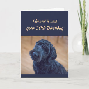 30th Birthday Fun Cute Black Curly Dog Pet Card