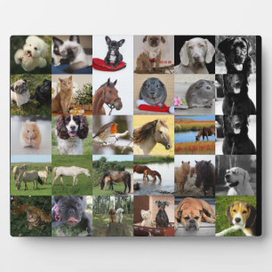 30xPhoto Colage Plaque - ANY Occasions