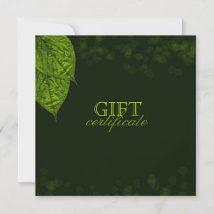 311 Dream Leaf Gift Certificate