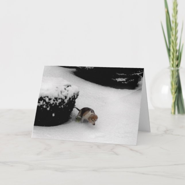 311-Graduation Congratz Card (Front)