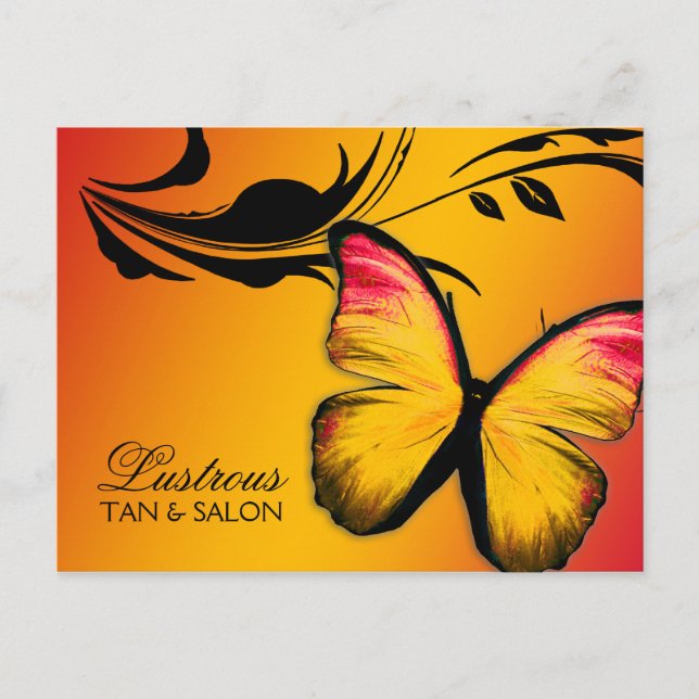 311 Lustrous Butterfly Sunset Postcard (Front)