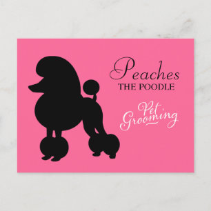 311 Peaches the Poodle Pet Grooming Postcard
