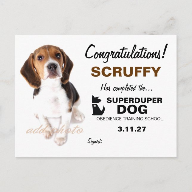 311-Super Duper Dog Certificate Postcard (Front)