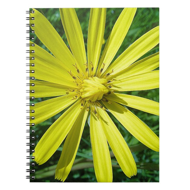318.JPG NOTEBOOK (Front)