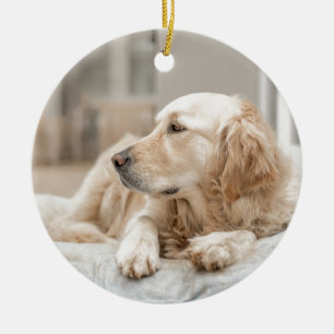 34137641_xxl ceramic ornament