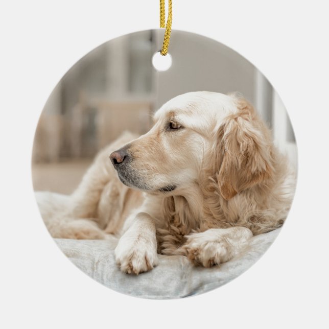 34137641_xxl ceramic ornament (Front)