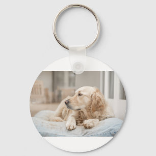 34137641_xxl key ring
