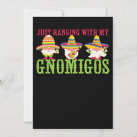 34.Cinco De Mayo Just Hanging With My Gnomigos Gno