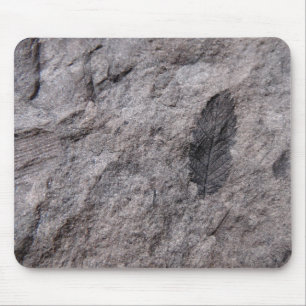 350 Million Yr. Old Plant Fossil Photo Print Mouse Pad