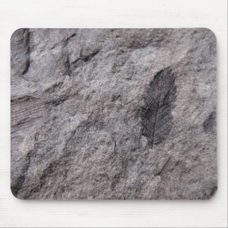 350 Million Yr. Old Plant Fossil Photo Print Mouse Pad