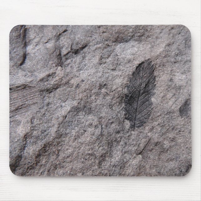 350 Million Yr. Old Plant Fossil Photo Print Mouse Pad (Front)