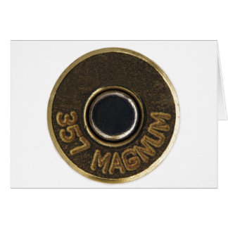 357 Magnum brass shell casing