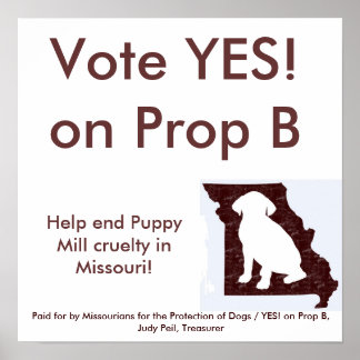 35" by 35" - YES! on Prop B Poster