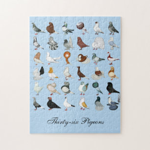 36 Pigeon Breeds Jigsaw Puzzle
