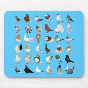 36 Pigeon Breeds Mouse Pad
