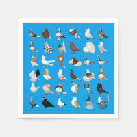36 Pigeon Breeds