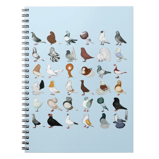 36 Pigeon Breeds Notebook (Front)