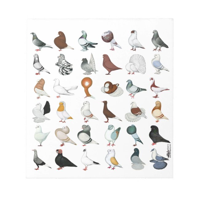 36 Pigeon Breeds Notepad (Front)