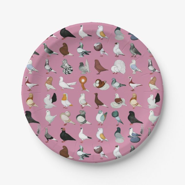 36 Pigeon Breeds Paper Plate (Front)