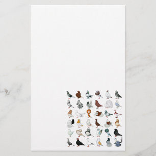 36 Pigeon Breeds Stationery