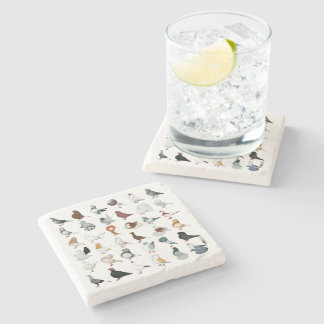 36 Pigeon Breeds Stone Coaster