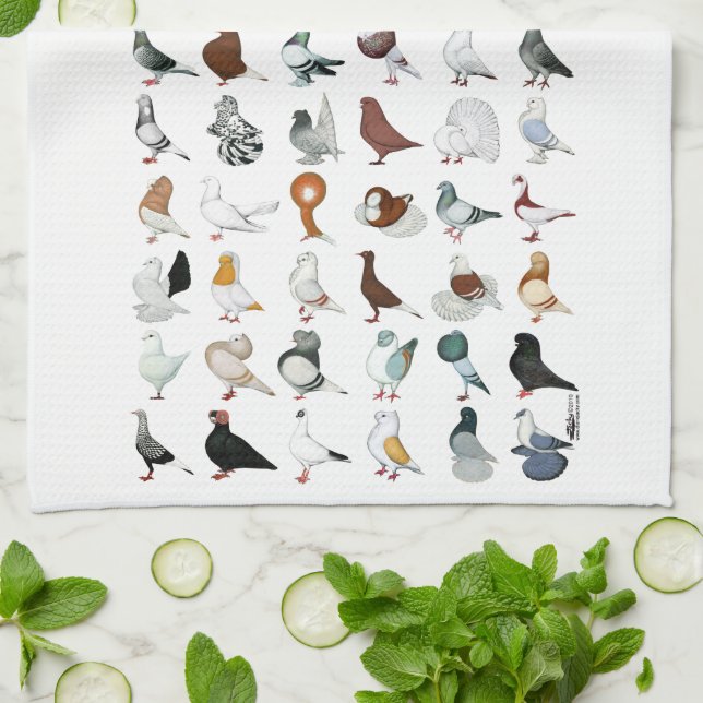 36 Pigeon Breeds Tea Towel (Folded)