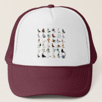 36 Pigeon Breeds