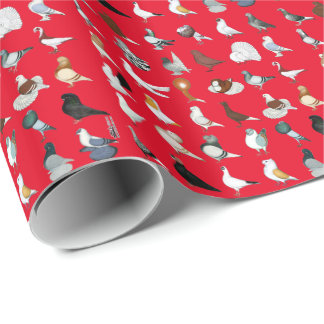 36 Pigeon Breeds Wrapping Paper