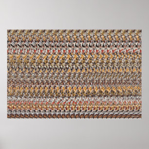 36" x 24" "Puppies Playing" 3D Magic Eye® Poster
