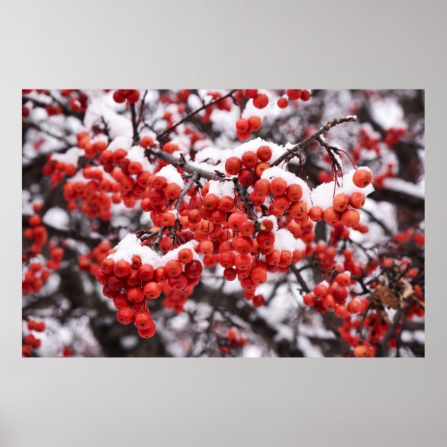 36x24 Wall Poster (Front)