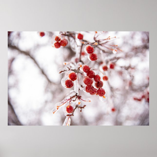 36x24 Wall Poster (Front)