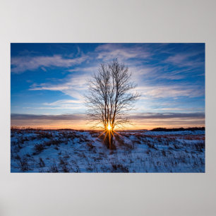 36x24 Wall Poster