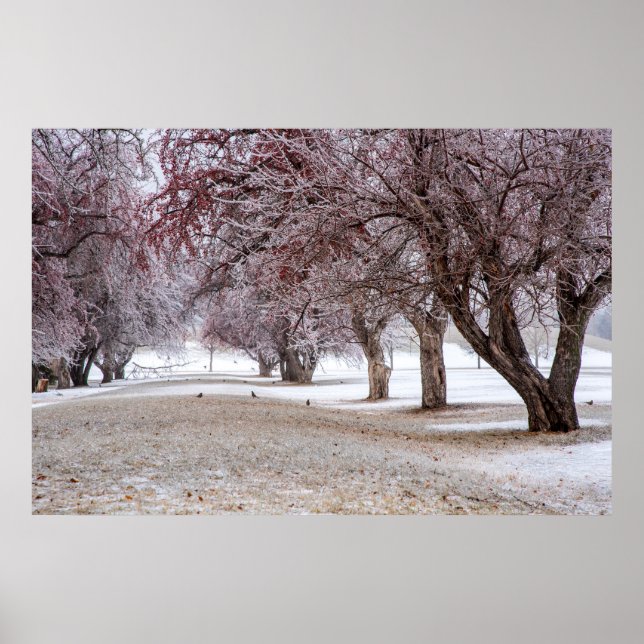 36x24 Wall Poster (Front)