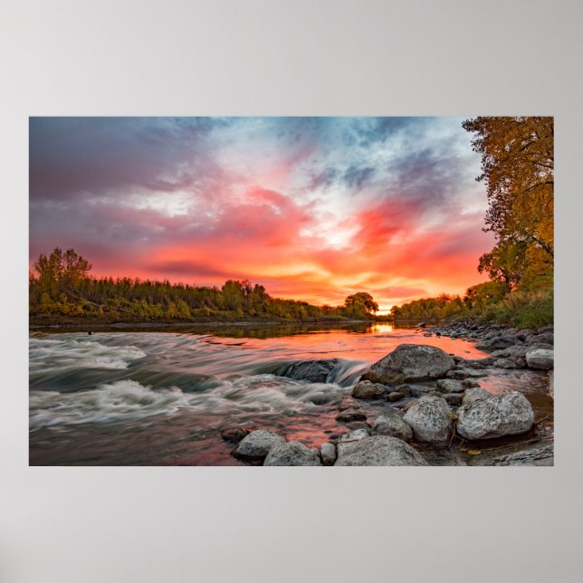 36x24 Wall Poster (Front)